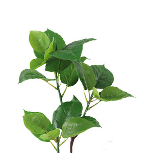 仿真植物叶青檀叶叶水果叶假桑树叶工程博物馆布景拍摄