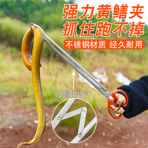 加长黄鳝夹泥鳅捡垃圾的夹子不锈钢火钳捡拾器拾物钳家用赶海工具