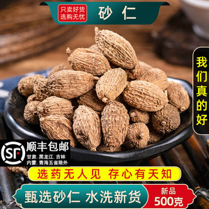 砂仁中药材500克/250/100g砂仁香料毛沙仁干果炖肉香料大全砂仁