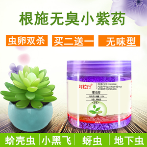 小紫药杀虫药