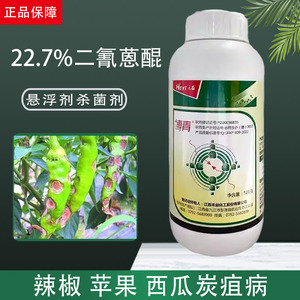 禾益二氰蒽鲲蒽醌博青草莓辣椒苹果西瓜炭疽病专用药农药杀菌剂