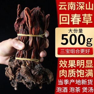 正宗云南野生回春草中药材500g不老草顶天柱草苁蓉男性滋补泡酒料