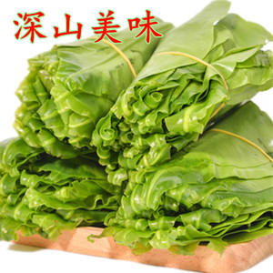 新鲜台湾山苏菜酒店特色食材山苏叶食用500g基地直发直销蕨菜顺丰