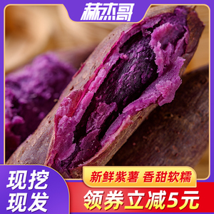 新鲜小紫薯紫心红薯低脂小个番薯迷你板栗地瓜山芋沙地农家自种