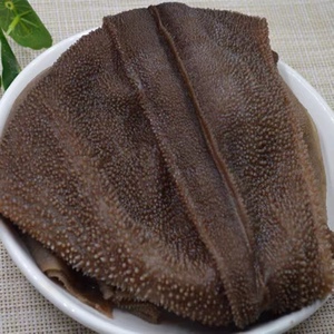 新鲜整个黑白毛肚5斤千层牛百叶底板丝火锅麻辣烫冒菜商用食材