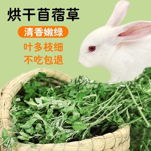 烘干苜蓿草兔子专用牧草幼兔兔粮荷兰猪豚鼠干草零食紫花苜蓿草