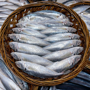 潮汕特产鱼饭巴浪鱼饭打冷鱼饭新鲜制作去内脏 鲜甜 三斤顺丰包邮