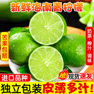 广东香水柠檬新鲜青柠檬新鲜皮薄一级鲜果酸宁檬无籽海南新鲜水果
