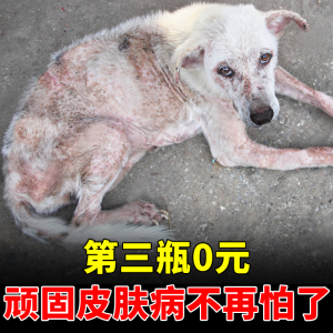 狗狗身上痒脱毛掉毛湿疹皮炎真菌皮肤病狗藓克星的外用药治疗喷剂