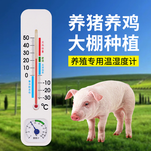 鸡室温度计