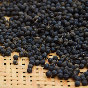 木姜子新鲜野生贵州