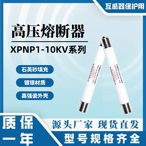 铭高高压熔断器XRNP1-10-12KV/0.5A1A2A3.15A4A5A保护险熔管芯PT