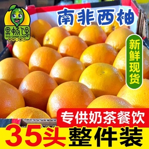 特价南非进口红心西柚应季水果葡萄柚子整件装 35个头单果7两左右