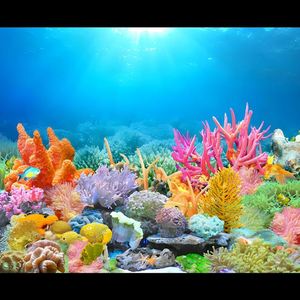 鱼缸背景贴纸高清5d高清海底世界珊瑚水族箱贴纸自带正胶外贴壁纸