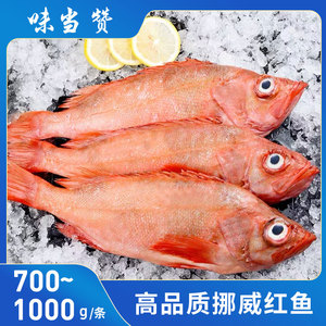海鱼红石斑鱼