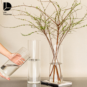花瓶摆件客厅插花水养直筒透明玻璃雪柳简约高级感绿植水培鲜花大