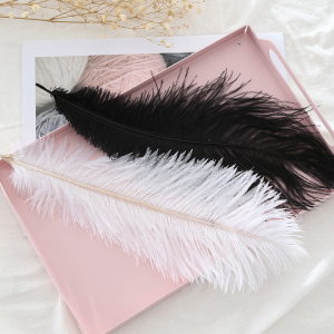 大号白色鸵鸟毛ins拍照道具羽毛装饰少女网红摆拍化妆品拍摄背景