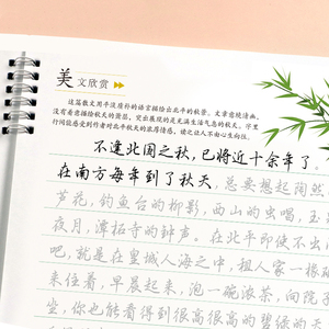 杨子实行楷字帖成人经典美文字帖成年初学者无基础学习行楷视频教程版