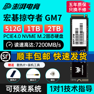 宏碁掠夺者GM7/GM7000   宏碁1T/2T m2台式机电脑NVME固态硬盘4TB
