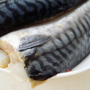 宁波特产渔家新鲜淡腌制咸鱼去香煎湿鲐鲅鱼肉非马鲛鱼
