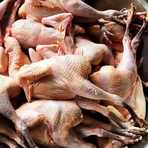 冷冻新鲜青脚麻鸡冷冻青脚鸡净重19斤散养土鸡黑爪鸡江浙沪皖包邮