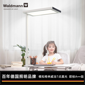 德国沃达迈Waldmann儿童护眼落地灯 学生钢琴学习书桌台LED大路灯