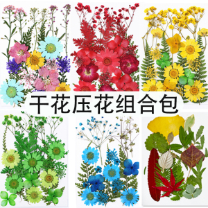 押花diy材料包真干花朵瓣树叶化妆儿童手工制作标本书签台灯相框