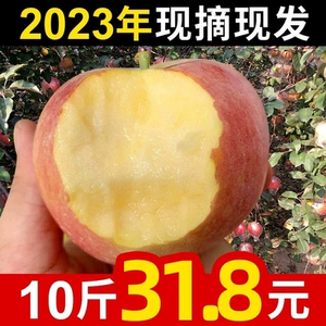 徐州丰县大沙河苹果新鲜水果10斤带箱红富士冰糖心脆甜野生丑苹果