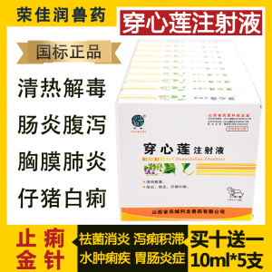 穿心莲注射兽用狗狗猫咪拉稀止泻药兽药牛羊仔猪拉稀药兔子止痢宁