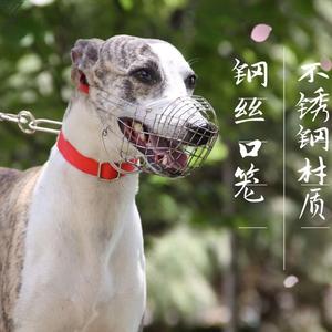母猪嘴套防咬钢丝口笼不锈钢材质惠比特细犬宠物狗咬嘴口笼罩套笼