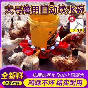 鸡用自动饮水器鸭鹅鸽子鹌鹑鹦鹉喂水桶雏鸡饮水碗全自动喂鸡神器
