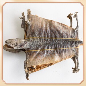 蛤蚧干货大蛤蚧定喘一对饮片补肺益肾纳气定喘助阳益精泡酒中药材