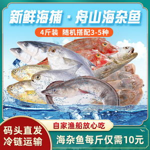 海杂鱼新鲜活冷冻舟山海鲜海鳗鱼鲳鱼小黄鱼龙利鱼米鱼墨鱼马鲛鱼