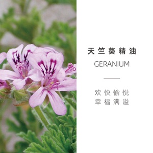 高档aroma shine自然之耀 天竺葵单方精油10ml 香薰按摩滋养润肤