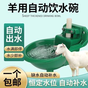 羊用自动饮水碗塑料铜阀自动喝水设备饮浮球水器饮水槽抗摔碰养殖