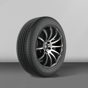 安捷斯达  ds09 255/50r19 103v