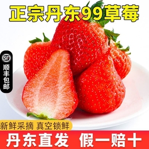 顺丰现摘丹东99牛奶草莓5斤新鲜当季水果孕妇奶油红颜纯甜大草莓