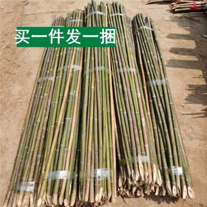 竹竿菜园搭架竹杆条3米豆角黄瓜架子小竹子竹篱笆栅栏围栏架杆棍