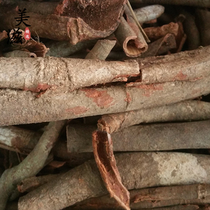 广西九牛藤中药材藤杜仲山地红杜仲 土杜仲 土续断500g包邮可磨粉