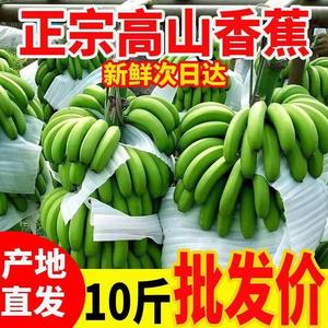 云南香蕉高山大香蕉现摘生青香蕉banana新鲜水果绿皮香蕉10斤整箱