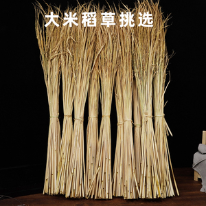 水稻杆子稻草芯扎三宝茶绑肉扎专用稻草杆粽绳手工编织捆绑扎材料