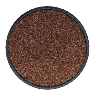 材 紫苏子东北紫苏子野苏子籽黑苏籽种子榨苏子油250g包邮