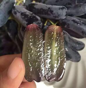 黑加仑金手指水果