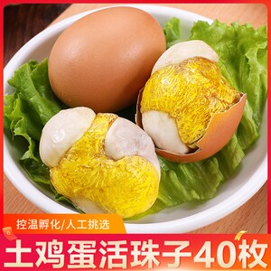 土鸡蛋活珠子40枚装新鲜鸡胚蛋13天原味熟食即食无毛蛋凤凰蛋包邮