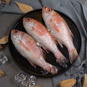 舟山红果鲤鲜活冷冻冰鲜赤鯥新鲜喉黑鱼日料刺身生鱼片海鲜水产