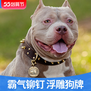 恶犬项圈