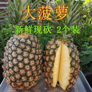 新鲜大菠萝缅甸无眼萝凤梨8斤2个装云南德宏特产水果香甜中带点酸