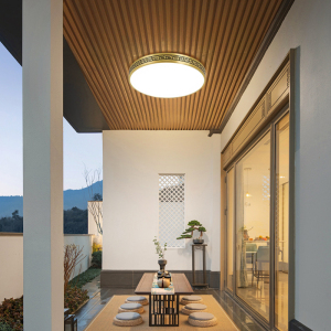 新中式全铜防虫防水超亮户外阳台吸顶灯别墅花园过道大门入户灯