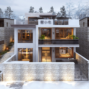 c3521二层现代简约别墅设计图纸农村自建房屋三层样图效果图洋房