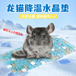 龙猫冰窝散热板冰垫夏季天降温用品金丝熊兔子大号凉席垫避暑神器